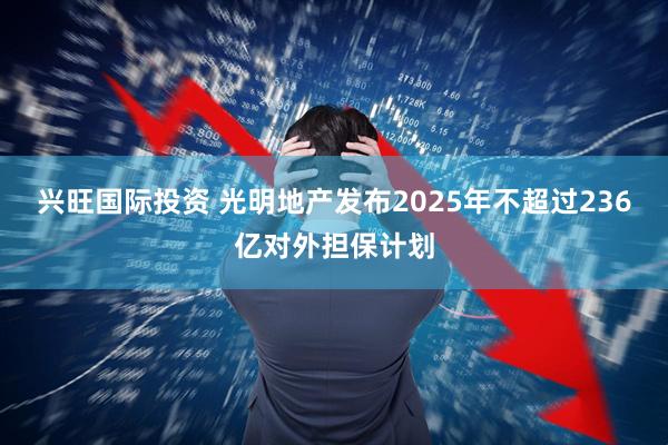 兴旺国际投资 光明地产发布2025年不超过236亿对外担保计划